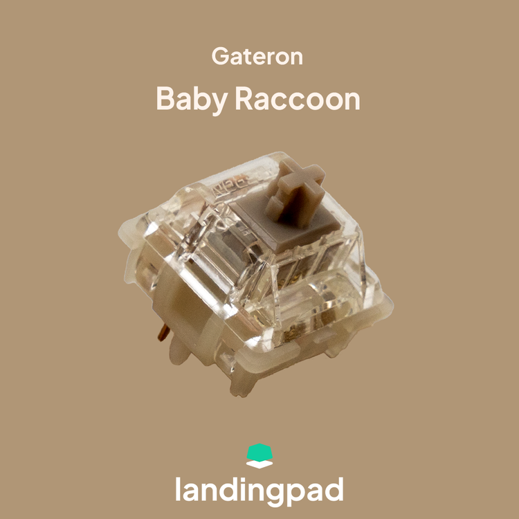 Gateron Baby Raccoon 2.0 Switch